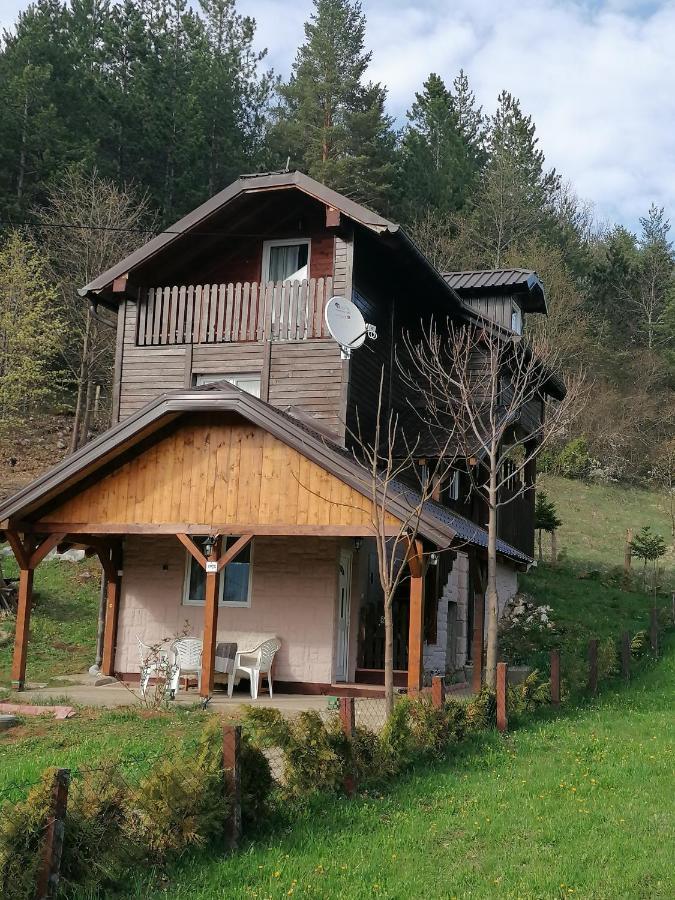 Villa Vikendica Moonlight à Zaovine Extérieur photo