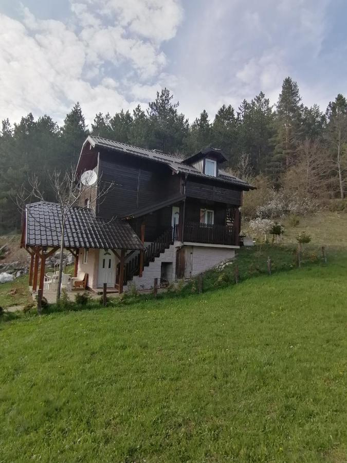 Villa Vikendica Moonlight à Zaovine Extérieur photo
