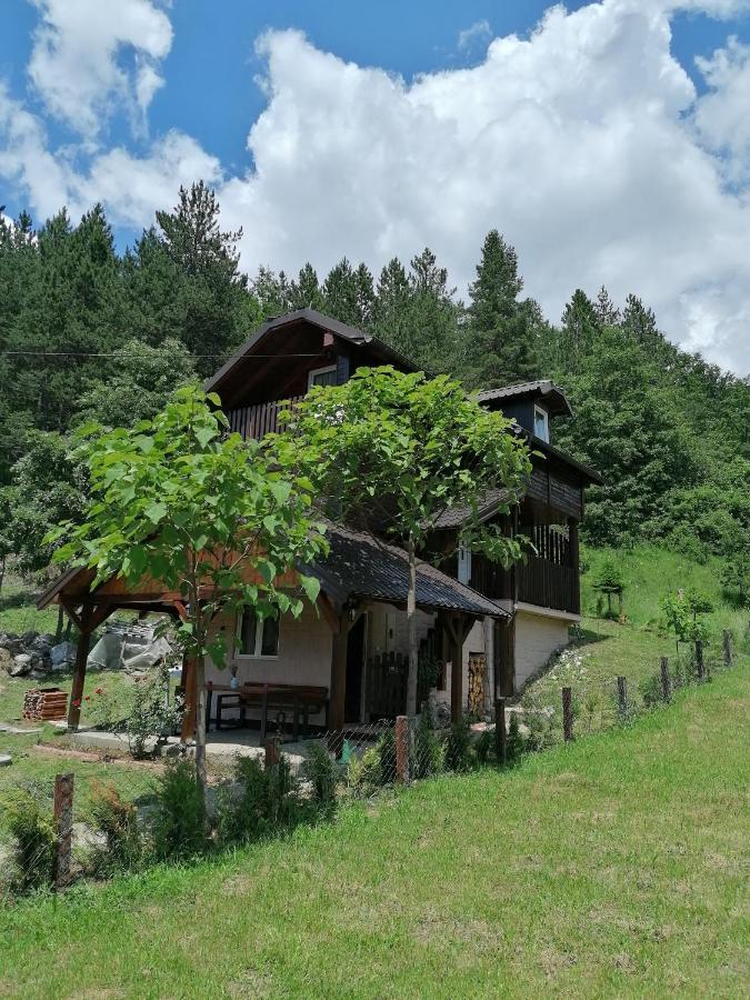 Villa Vikendica Moonlight à Zaovine Extérieur photo