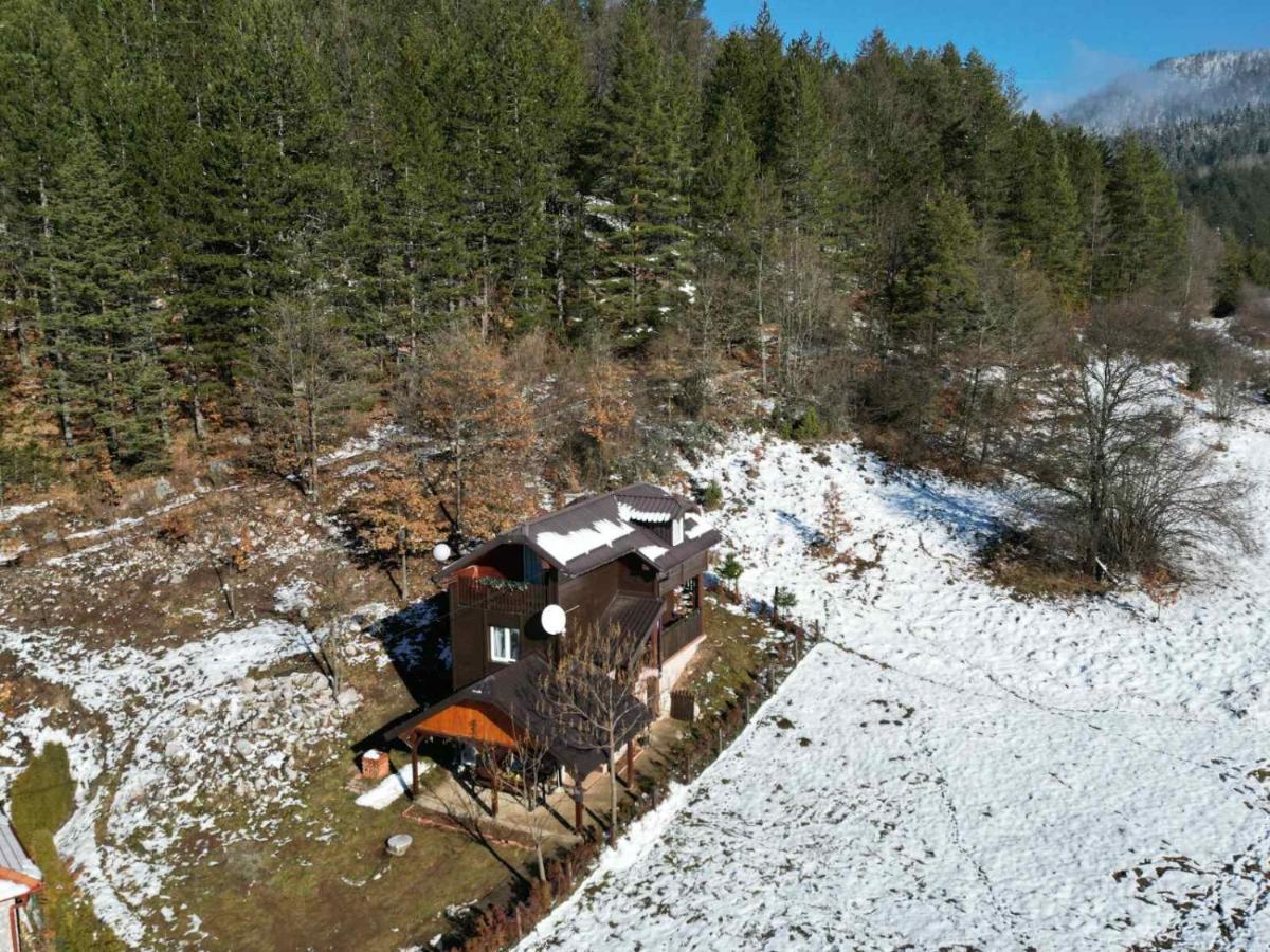 Villa Vikendica Moonlight à Zaovine Extérieur photo