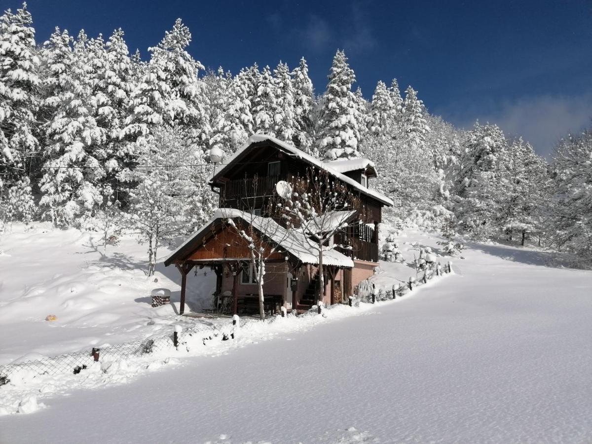Villa Vikendica Moonlight à Zaovine Extérieur photo