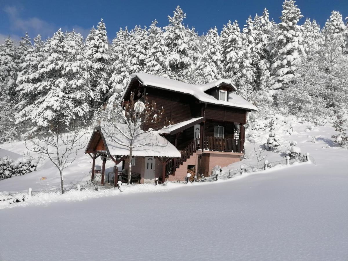 Villa Vikendica Moonlight à Zaovine Extérieur photo