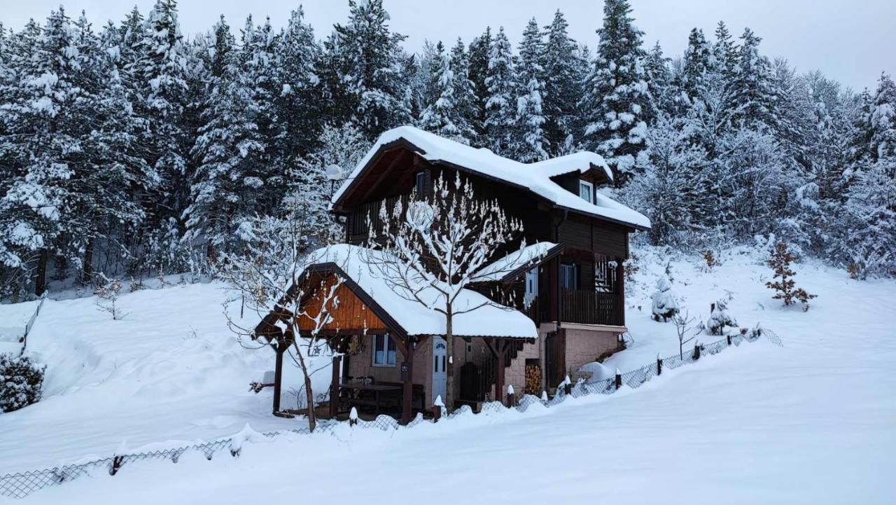Villa Vikendica Moonlight à Zaovine Extérieur photo
